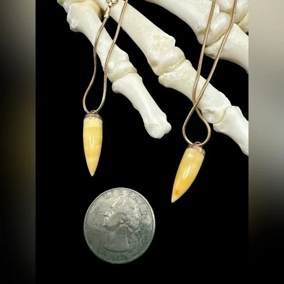 Vintage 9K Yellow Gold Capped Raj Dynasty Tooth Necklace 18”